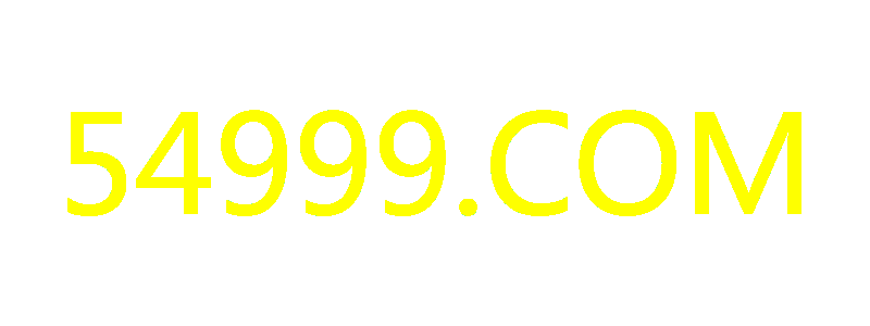 54999.COM